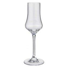 Rona Sklenice Grappa 100 ml
