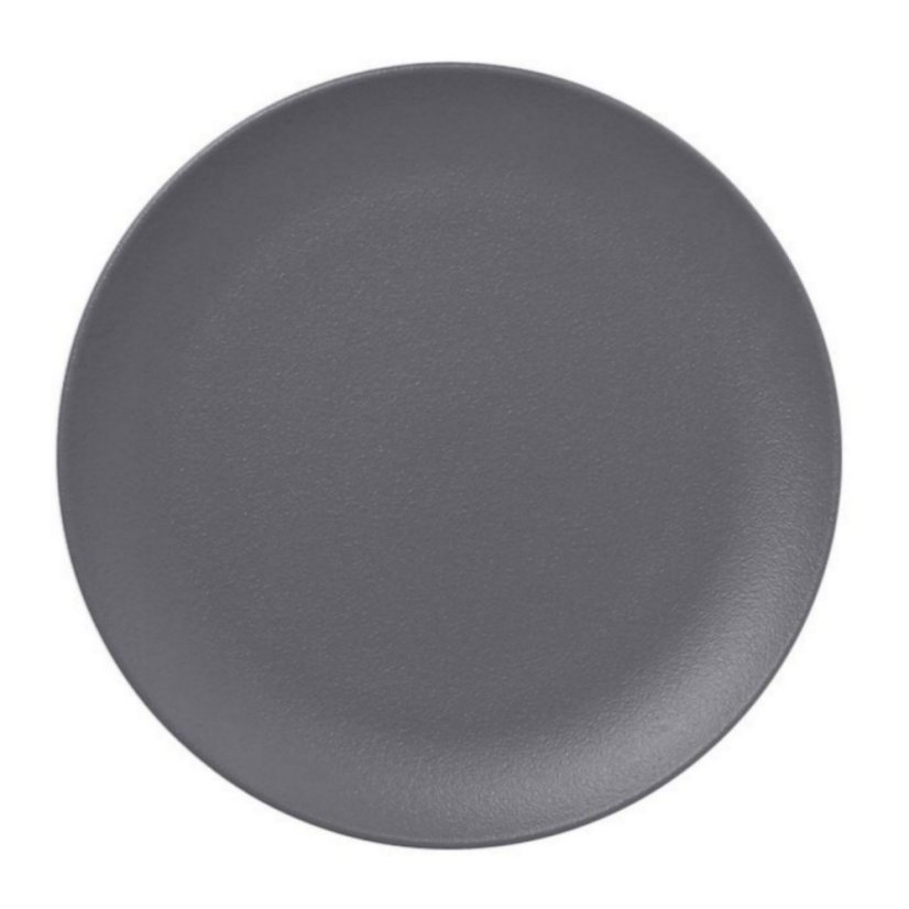 RAK Porcelain RAK Talíř mělký 31 cm, šedá | RAK-NFNNPR31GY