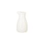 RAK Porcelain RAK Swirls mléčenka 20 cl | RAK-SWJG20