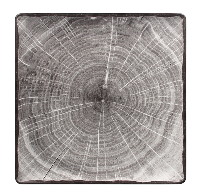 RAK Porcelain RAK Woodart talíř čtvercový 30 × 30 cm – šedá | RAK-WDEDSQ30BG