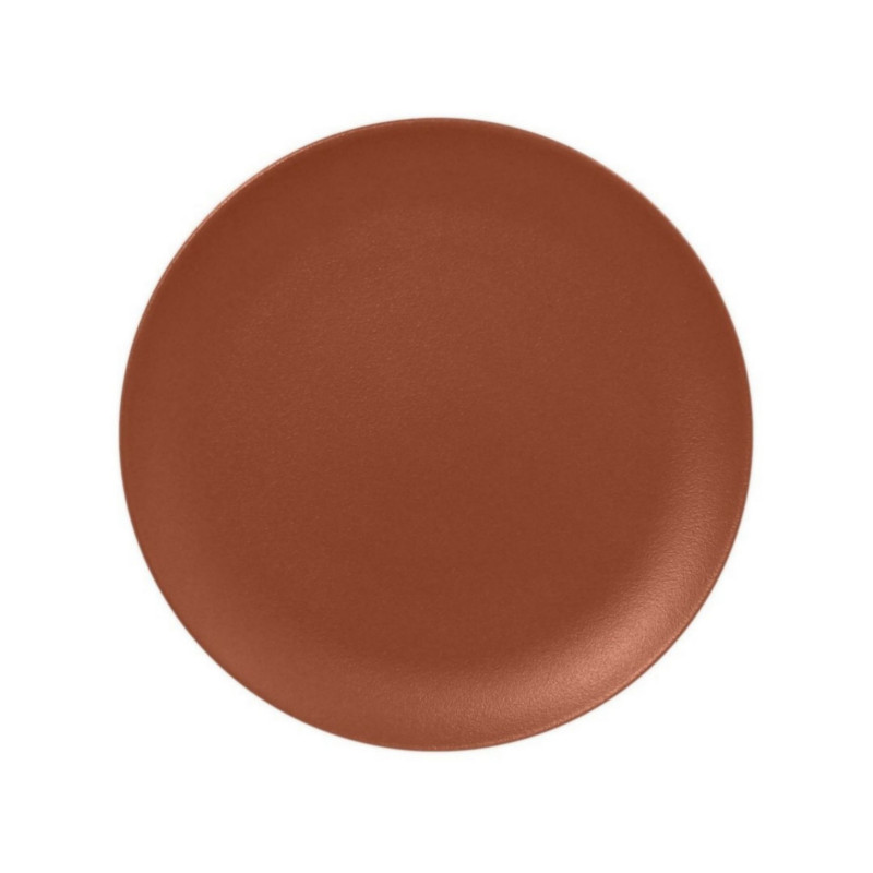 RAK Porcelain RAK Talíř mělký 27 cm, hnědá | RAK-NFNNPR27BW