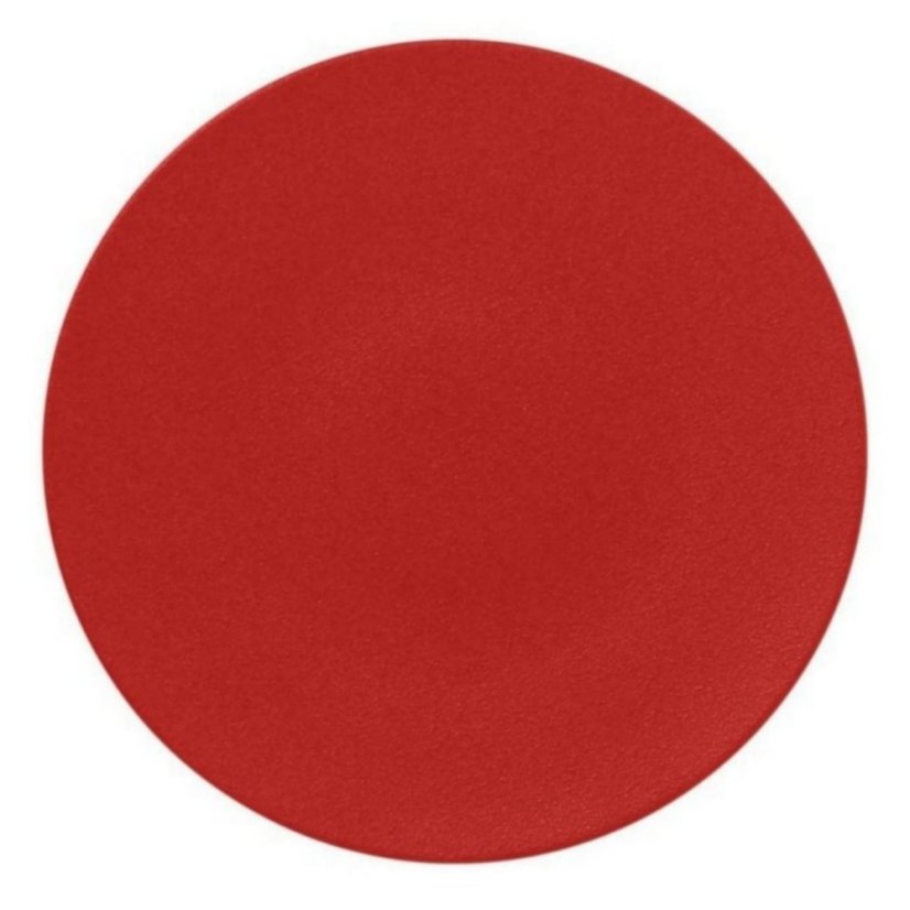 RAK Porcelain RAK Talíř mělký 29 cm, světle červená | RAK-NFSPCP29BR