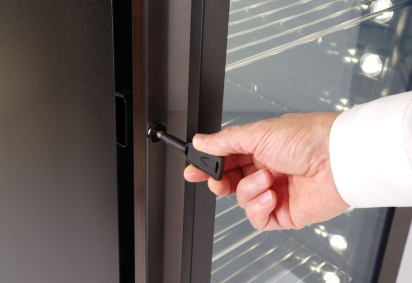 Skřín na suché zrání, Arktic, 352L, Tmavě šedá, 220-240V/170W, 595x760x(H)1720mm
