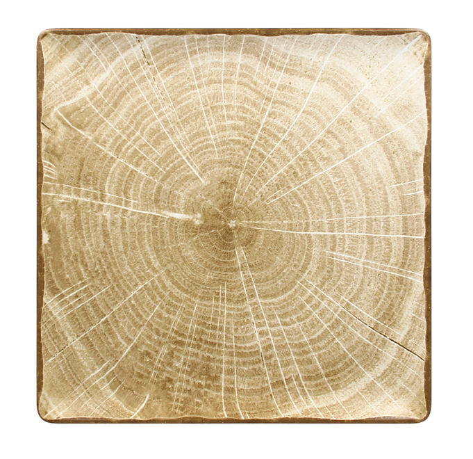 RAK Porcelain RAK Woodart talíř čtvercový 30 × 30 cm – mechově zelená | RAK-WDEDSQ30MG