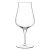 Luigi Bormioli Birrateque na pivo Beer Tester 42 cl