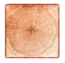 RAK Porcelain RAK Woodart talíř čtvercový 30 × 30 cm – světle hnědá | RAK-WDEDSQ30TB