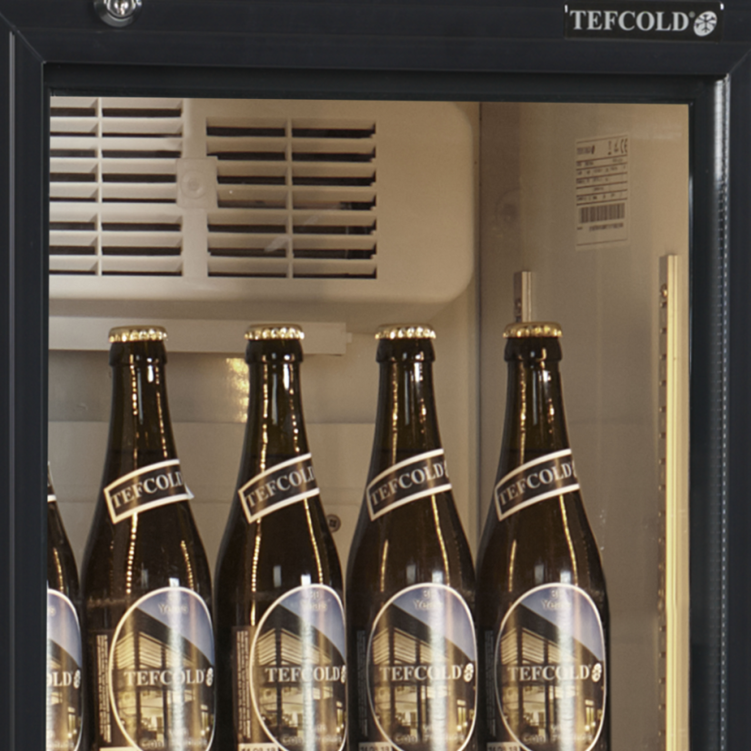 Chladicí skříň TEFCOLD FSC 175H