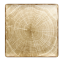 RAK Porcelain RAK Woodart talíř čtvercový 30 × 30 cm – mechově zelená | RAK-WDEDSQ30MG