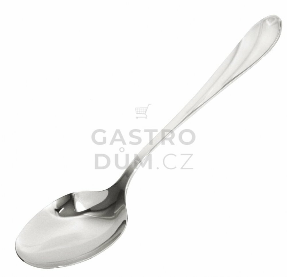 Servírovací lžíce OEM 1 - 24 cm